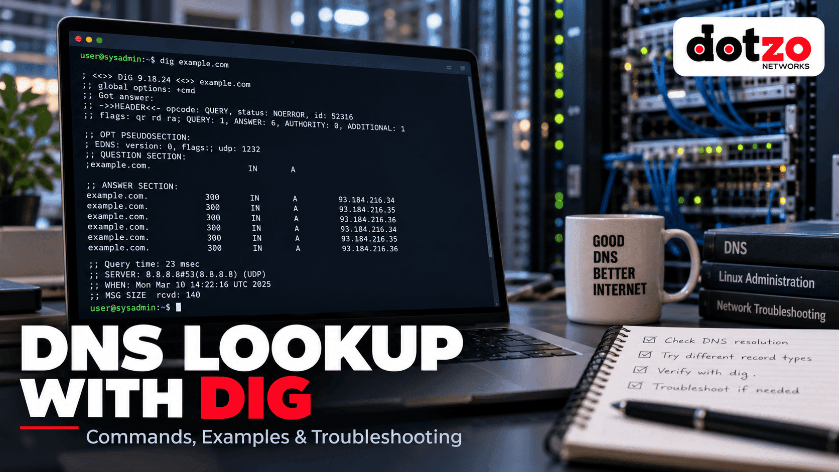 dns lookup
